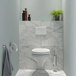 Tiger Mississippi wc bril wit met softclose en quick release