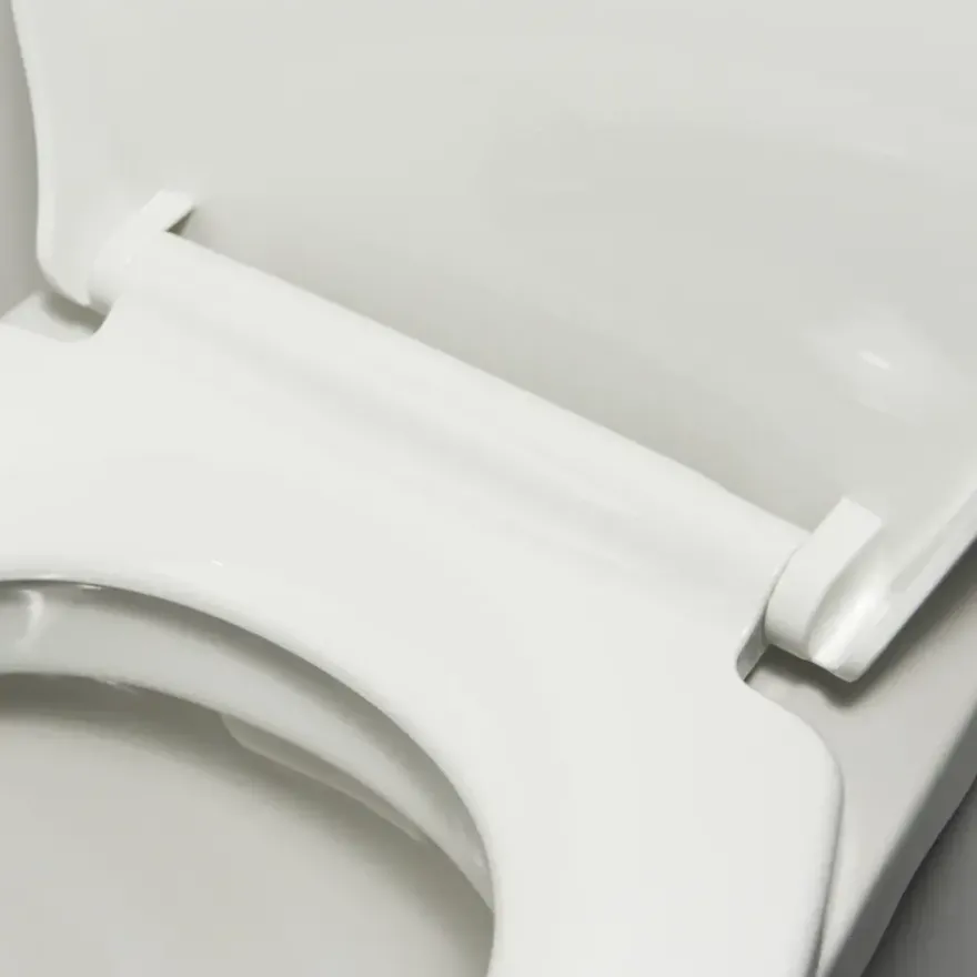Tiger WC-bril Pasadena Softclose wit 44,6 x 37,1 cm