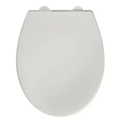 Toiletzitting Bemis Reybridge Universeel