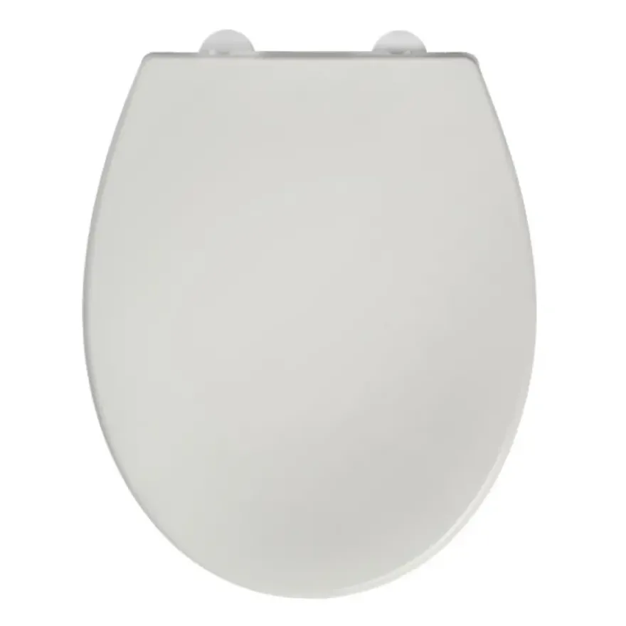 Toiletzitting Bemis Reybridge Universeel