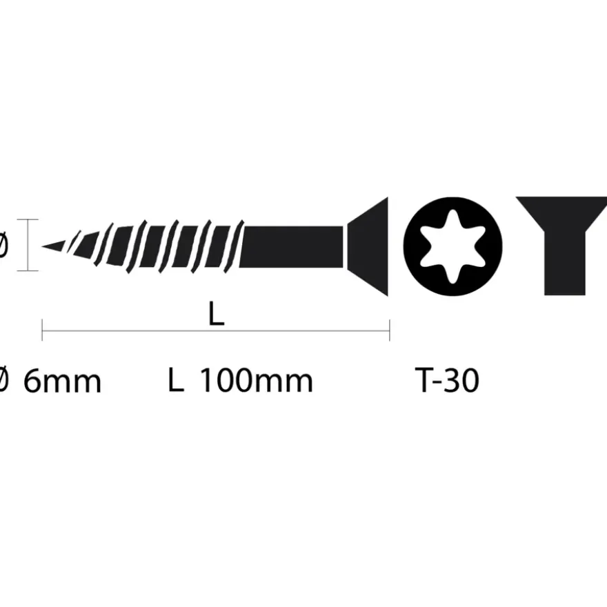 Unischroef 6x100mm torx pk vz 50st