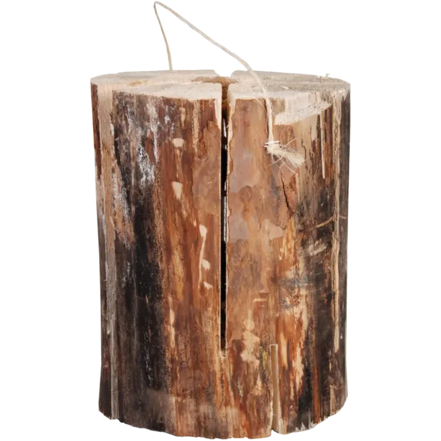 Zweedse fakkel